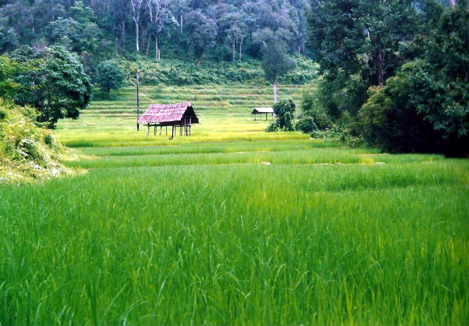 Tailândia